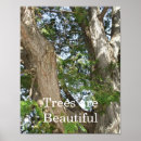 Suche nach baumstamm poster Blätter