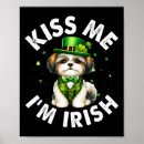 Suche nach glück der iren poster Shamrocks