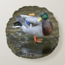 Suche nach maler kissen Natur