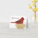Suche nach roter kopf karten Vogelvogel