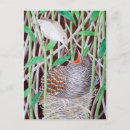 Suche nach kuckuck postkarten Für alle