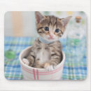 Suche nach hübsche katzen mousepads Niedlich