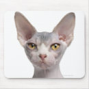 Suche nach alte kamera mousepads Betrachten der kamera