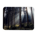 Suche nach baumstämme magnete Waldland