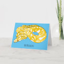 Suche nach albino karten Python