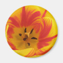 Suche nach feuer und flammen magnete Rot