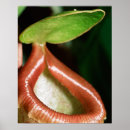 Suche nach climate poster Outdoors