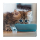 Suche nach fokus fliesen Zuhause