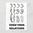 Suche nach darwin postkarten Wissenschaft