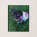 Suche nach pug puzzle Mops
