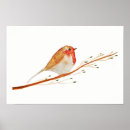 Suche nach aquarell vogels poster Tiere