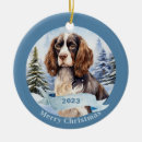 Suche nach spanisches weihnachten ornamente Für alle