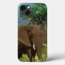 Suche nach bulle iphone hüllen Tierwelt