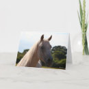 Suche nach graues pferd karten Tier