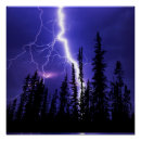 Suche nach donner poster Wald