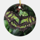 Suche nach schöne schmetterlinge ornamente Insekt