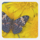 Suche nach gelbe blume aufkleber Tropisch