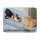 Suche nach tür magnete Marokko