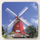 Suche nach aruba untersetzer Palme