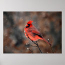 Suche nach schneesturm poster Schneefall