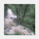 Suche nach kaskade magnete Bach