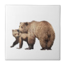 Suche nach grizzly fliesen Bär