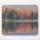 Suche nach ruhige farben mousepads Baum