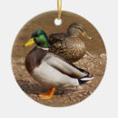 Suche nach stockenten schmuck Feiertag
