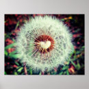 Suche nach löwenzahn poster Für alle