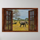 Suche nach afrikanische elefanten poster Fensterrahmen