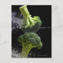 Suche nach grünes gemüse postkarten Brokkoli