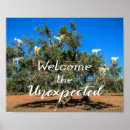 Suche nach ziegen poster Jede person