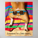 Suche nach hintern poster Spaß