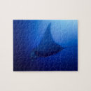 Suche nach mantarochen puzzle Für alle