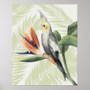 Suche nach tropische vögel poster Blume