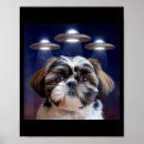 Suche nach shih tzu hunde poster Lustig