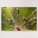 Suche nach faden puzzle Blume