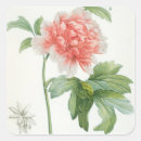Suche nach redoute aufkleber Blumen