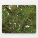Suche nach verdreht mousepads Baum
