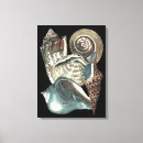 Suche nach muscheln leinwandbilder Konch