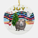 Suche nach guinea pig ornamente Für alle