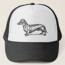 Suche nach dachshund kappen Welpe