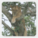 Suche nach leo aufkleber Tierwelt