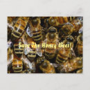 Suche nach bienenstock postkarten Jede person