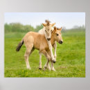 Suche nach lustiges pony poster Niedlich