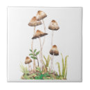 Suche nach pilze fliesen Wald