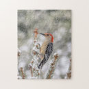 Suche nach singvögel puzzle Wildtiere