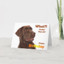 Suche nach funny labrador karten Dog