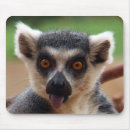 Suche nach lemuren mousepads Niedlich