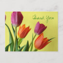 Suche nach lila tulpen karten Flora